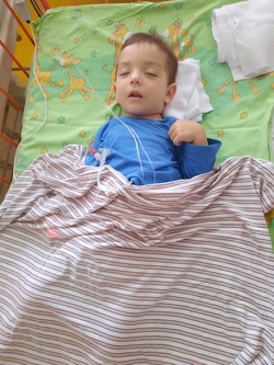 Fotografie k novince.