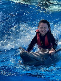 Fotografie k novince.