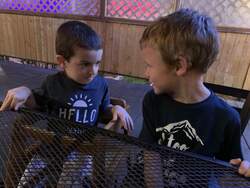 Fotografie k novince.