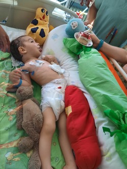 Fotografie k novince.