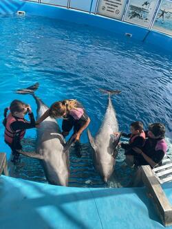 Fotografie k novince.