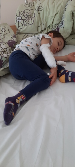 Fotografie k novince.