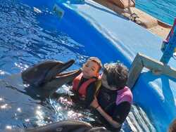 Fotografie k novince.