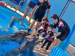 Fotografie k novince.